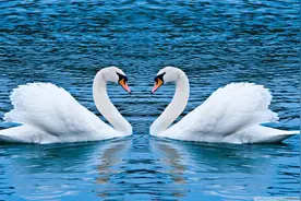 该为谁而活图片