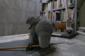 戴脖套的灰鹦鹉，你很像个飞行员嘛图片