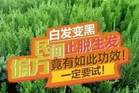 长期脱发怎么办？民间治疗脱发24个秘方!图片