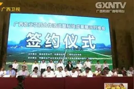 广西农业项目合作洽谈对接会在南宁举行视频封面