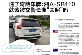 这车牌：SB110，走到哪儿警察查到哪儿图片