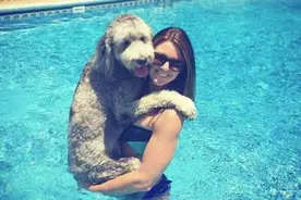 当狗狗见到久违的亲人图片