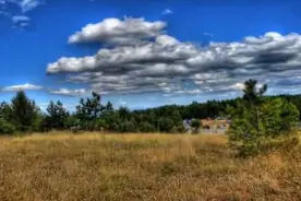 陈咏《你把真心给了谁》，可知我有多心碎图片