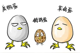 为什么蛋蛋要外挂图片