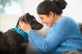 人畜共患病如何预防？图片