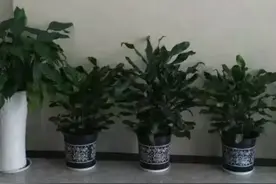 基层民警出警十原则图片