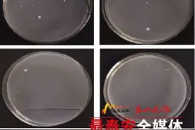 餐纸到底脏不脏 实验告知您真相图片