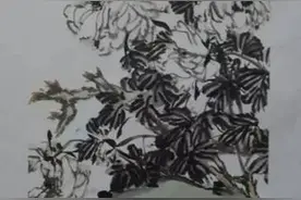 甘谷母亲和她的黑骡子的故事图片