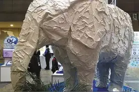 日本的自然教育图片