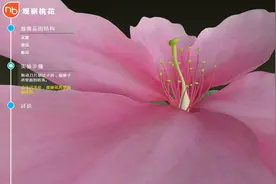 如何做初中生物实验设计图片