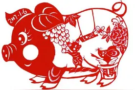 属猪的人知道这些运势，猴年一定大运图片