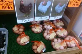 日本流行公开生产者形象的农产品营销法图片