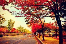 总爱无理取闹的女朋友需要采取的四种方式表现图片