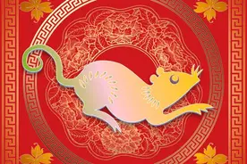 生肖大集合，从大到小应有尽有图片