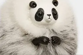 恋人和情侣有哪些不可告人的区别？戳中笑点图片