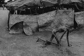 你见过真正的饥荒吗？还在随意浪费粮食吗？请看看他们（图）！图片