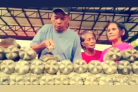 这些菲律宾人用废弃饮料瓶建了一座房子图片