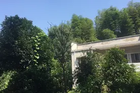 城里人羡慕不来的农村的天蓝，空气新鲜图片