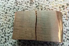 边角料诞生记——超呆萌小叶紫檀小乌龟！图片
