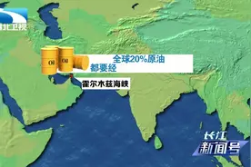 被特朗普逼急了？伊朗威胁封锁运油“咽喉”霍尔木兹海峡视频封面