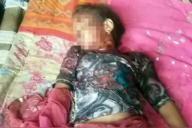 印度12岁女孩睡梦中遭花豹叼走 不幸身亡图片