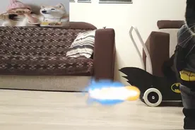 猫爸爸手动给猫星人做了蝙蝠车，猫咪一身蝙蝠套装视频封面