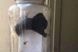 她在海边漫步，意外捡到一个这样的漂流瓶！图片