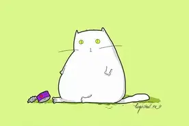 没有男朋友，就和猫过一辈子！图片