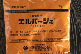 西安小袁详解锦鲤日常必备药剂之“黄粉”图片
