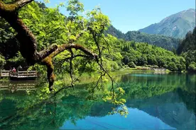 神奇地九寨 啊~啊~ 人间的天堂图片