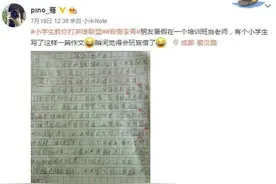 看了这篇小学生的LOL作文，我终于找到了最近排位连跪的原因图片