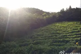 周末了，要不要跟小伙伴约去浉河港感受大自然～图片
