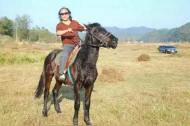 没有了七层楼·刘家弄，七彩霓虹把景德镇变得如此俗气图片