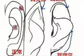 从面相看你的婚姻路如何？图片