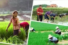 农村的孩子小时候都做过的事情图片