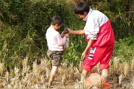 捉泥鳅这是多少人的童年回忆图片