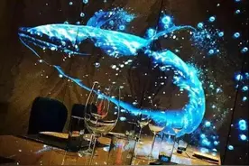 高手在民间网友自制3D全息投影图片