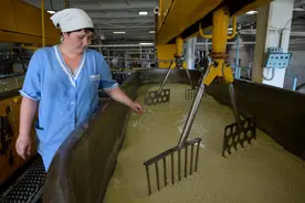 新西伯利亚州的农业图片