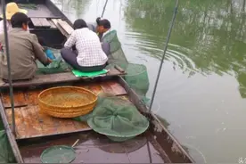 和朋友野钓结果中3条老黑图片