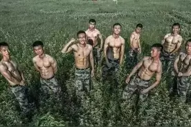 兵哥大课堂：健身日教你如何练出迷人“马甲线”图片