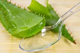 芦荟——治病良药，美容佳品，你肯定想不到它有这么多作用！图片
