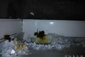 懂厨房吊顶的朋友请进，这些白色物体到底是啥子图片