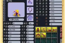 梦幻西游8技能血攻海毛虫 神威玩家的个性宝宝图片