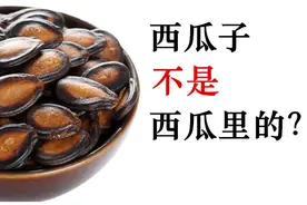 吃过西瓜子，但你知道它不是西瓜里面的吗？图片