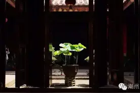 潮州人家，天井的荷花图片
