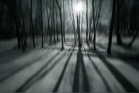 经常感觉此刻做事情的场景，是之前发生过的图片
