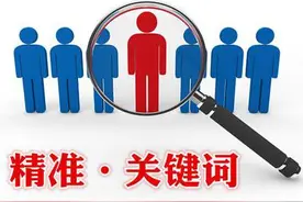 利用招商加盟 日引10000ip无限引流 精准流量图片