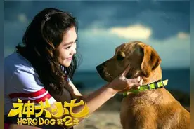 《神犬小七第二季》：爱心成就奇迹与梦想：动物霸屏萌萌哒图片