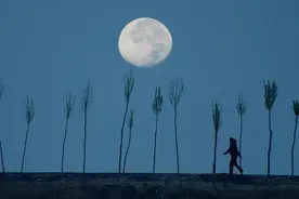 为什么月亮老跟着我们走？图片