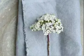 原创：许你一身棉麻长衫图片